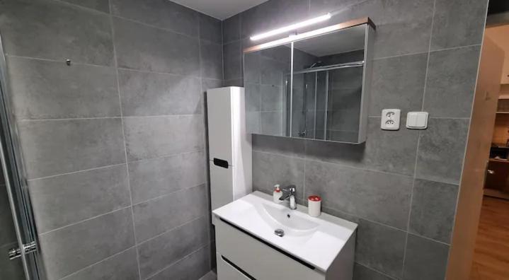 Apartment Krakovska 20 Prag Dış mekan fotoğraf