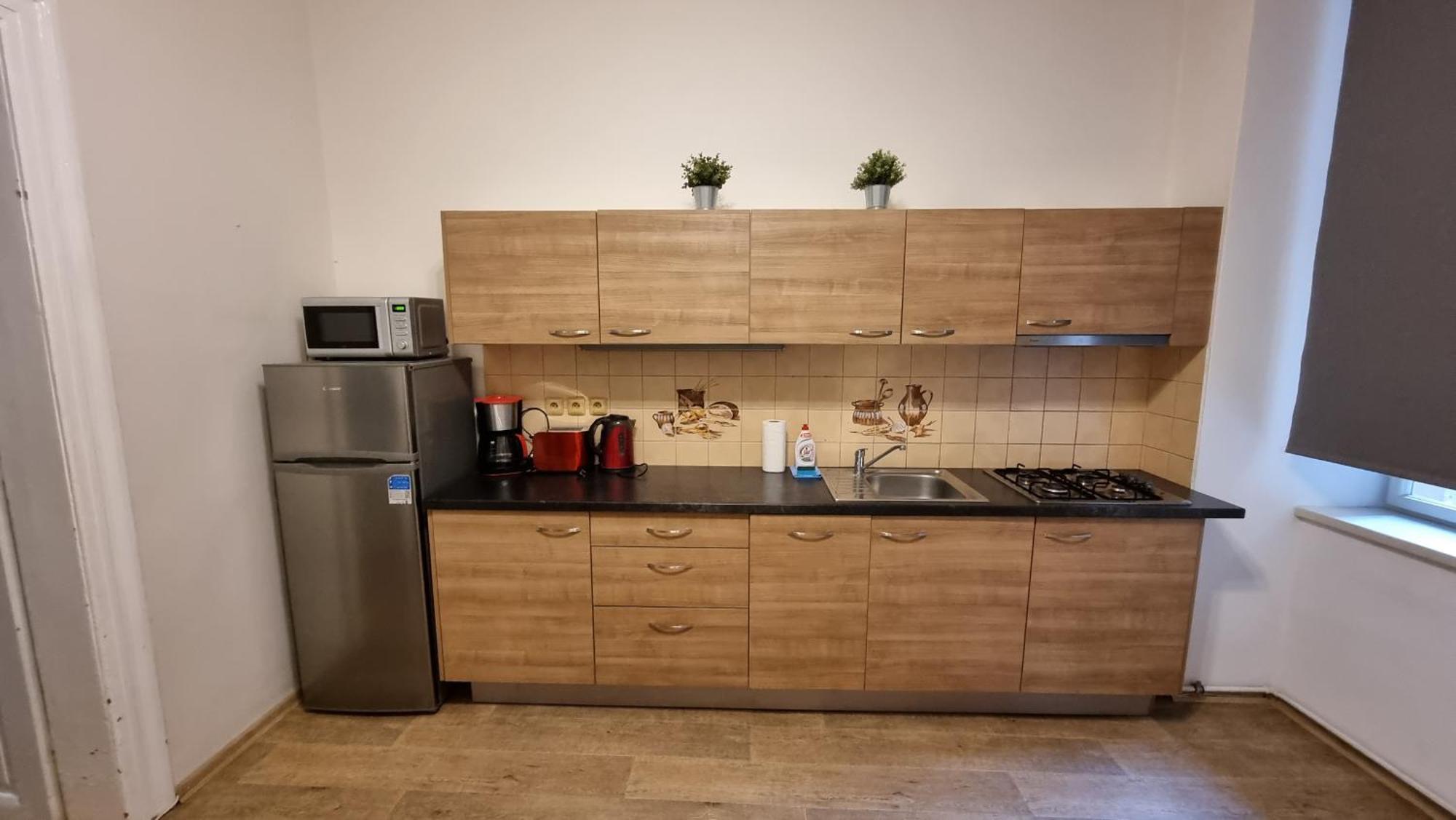 Apartment Krakovska 20 Prag Dış mekan fotoğraf